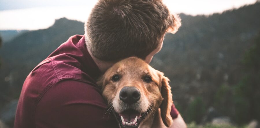 Man hugging a golden retriever while looking out into the distance